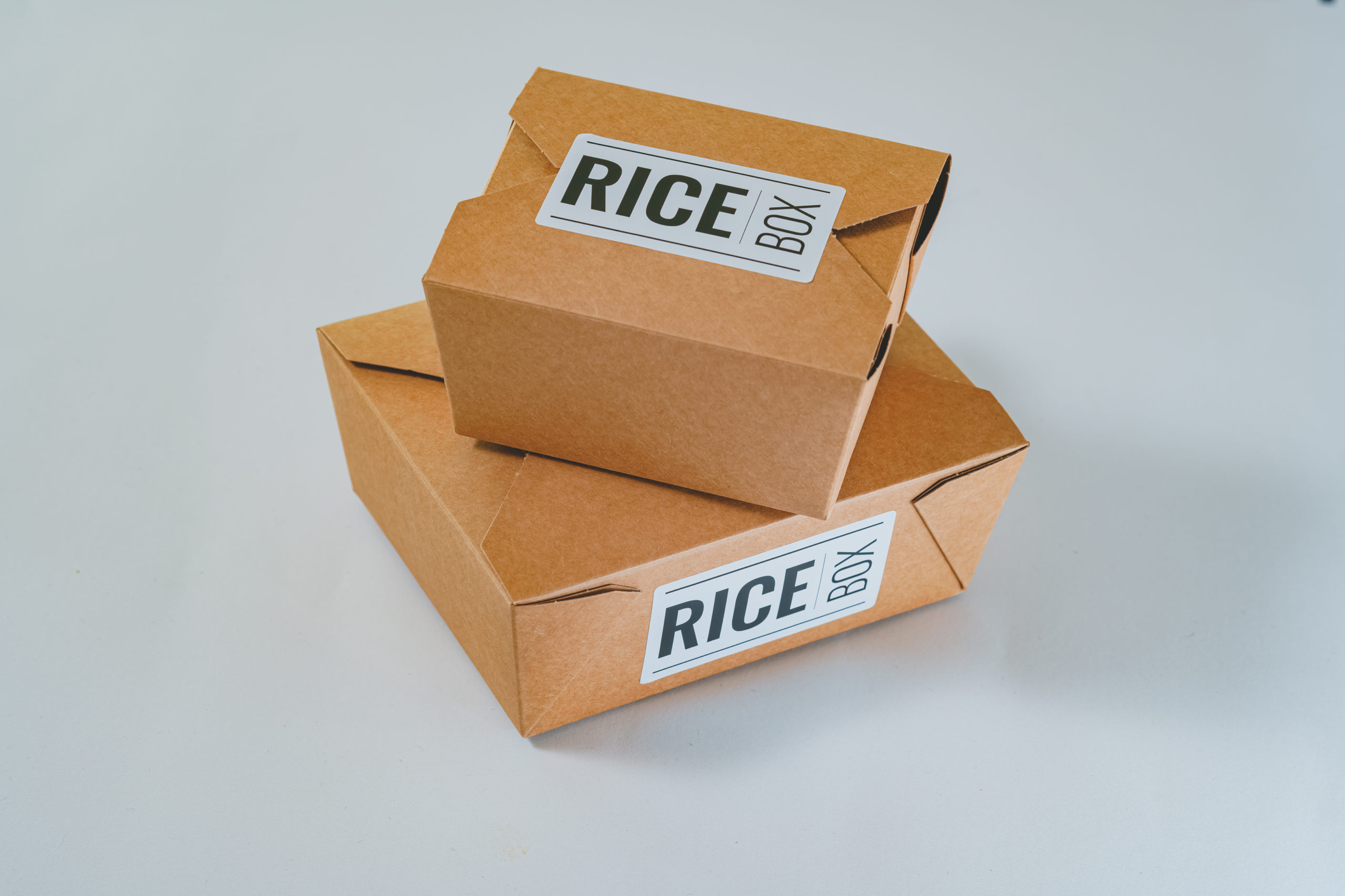 Riceboxi Compressed-36